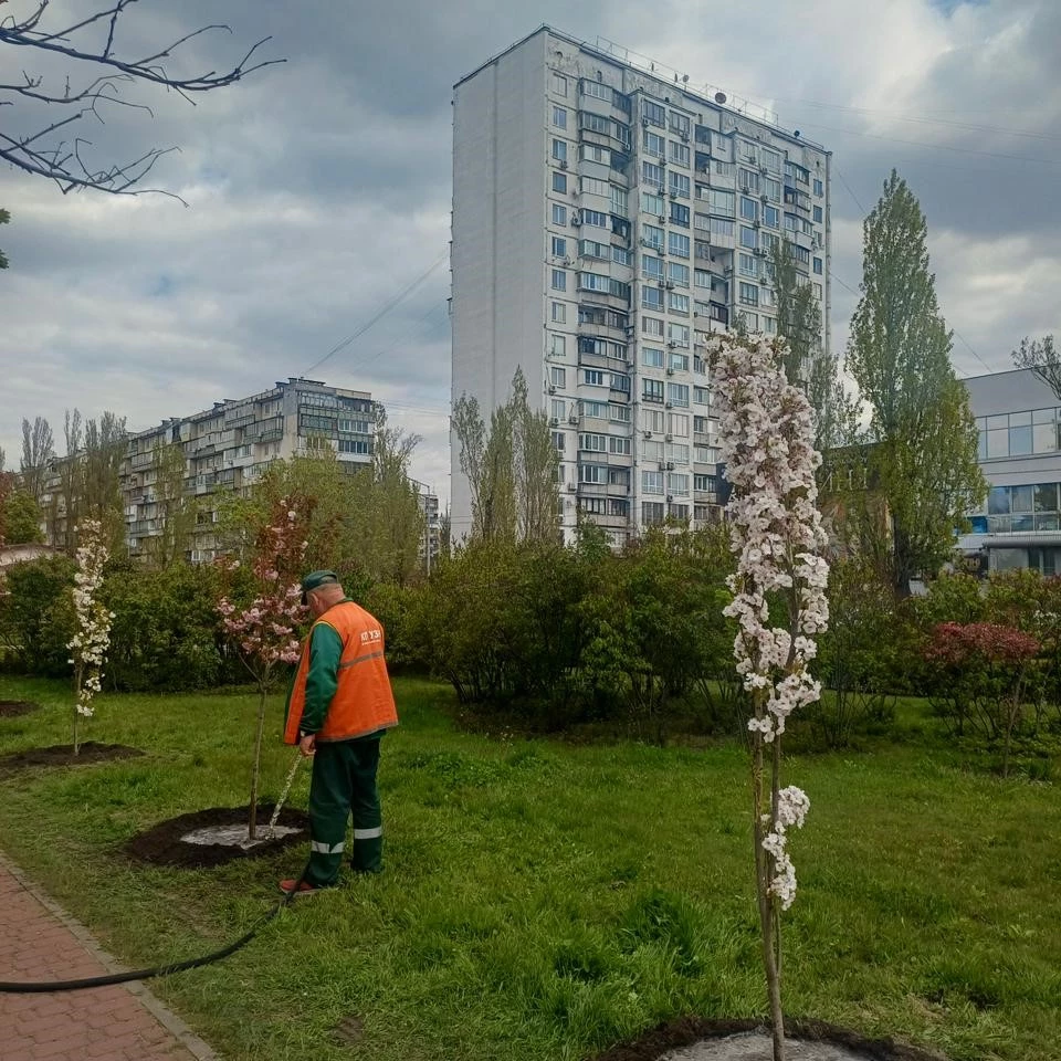 В межах акції «1 мільйон дерев життя» у Києві висадили 633 дерева та кущі
