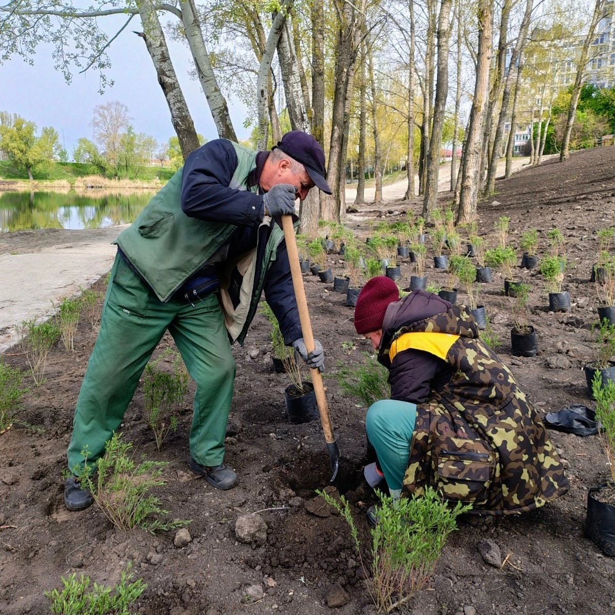В межах акції «1 мільйон дерев життя» у Києві висадили 633 дерева та кущі