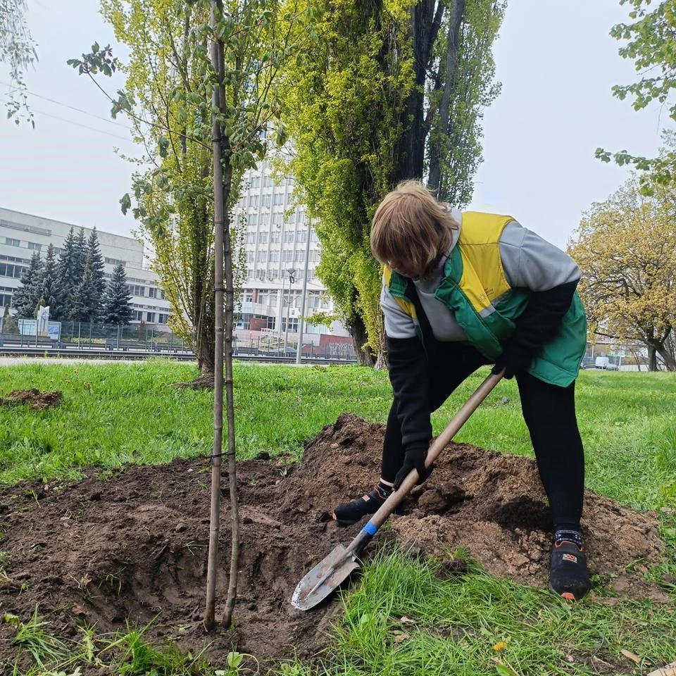 В межах акції «1 мільйон дерев життя» у Києві висадили 633 дерева та кущі