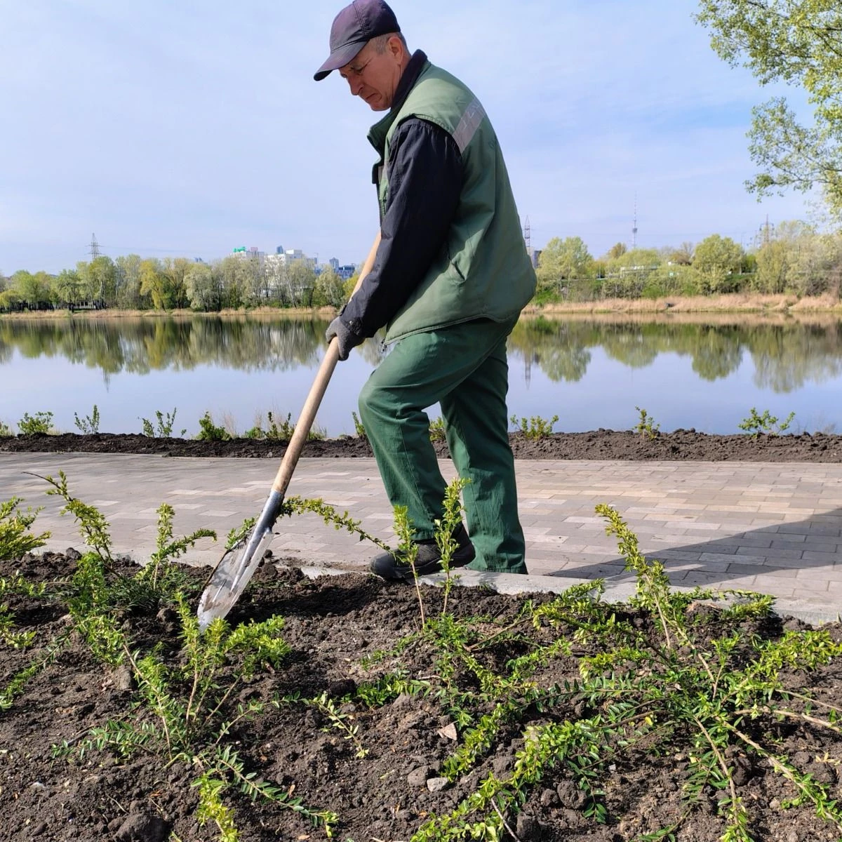 В межах акції «1 мільйон дерев життя» у Києві висадили 633 дерева та кущі