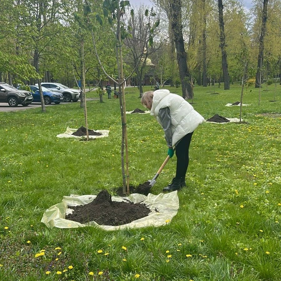 В межах акції «1 мільйон дерев життя» у Києві висадили 633 дерева та кущі