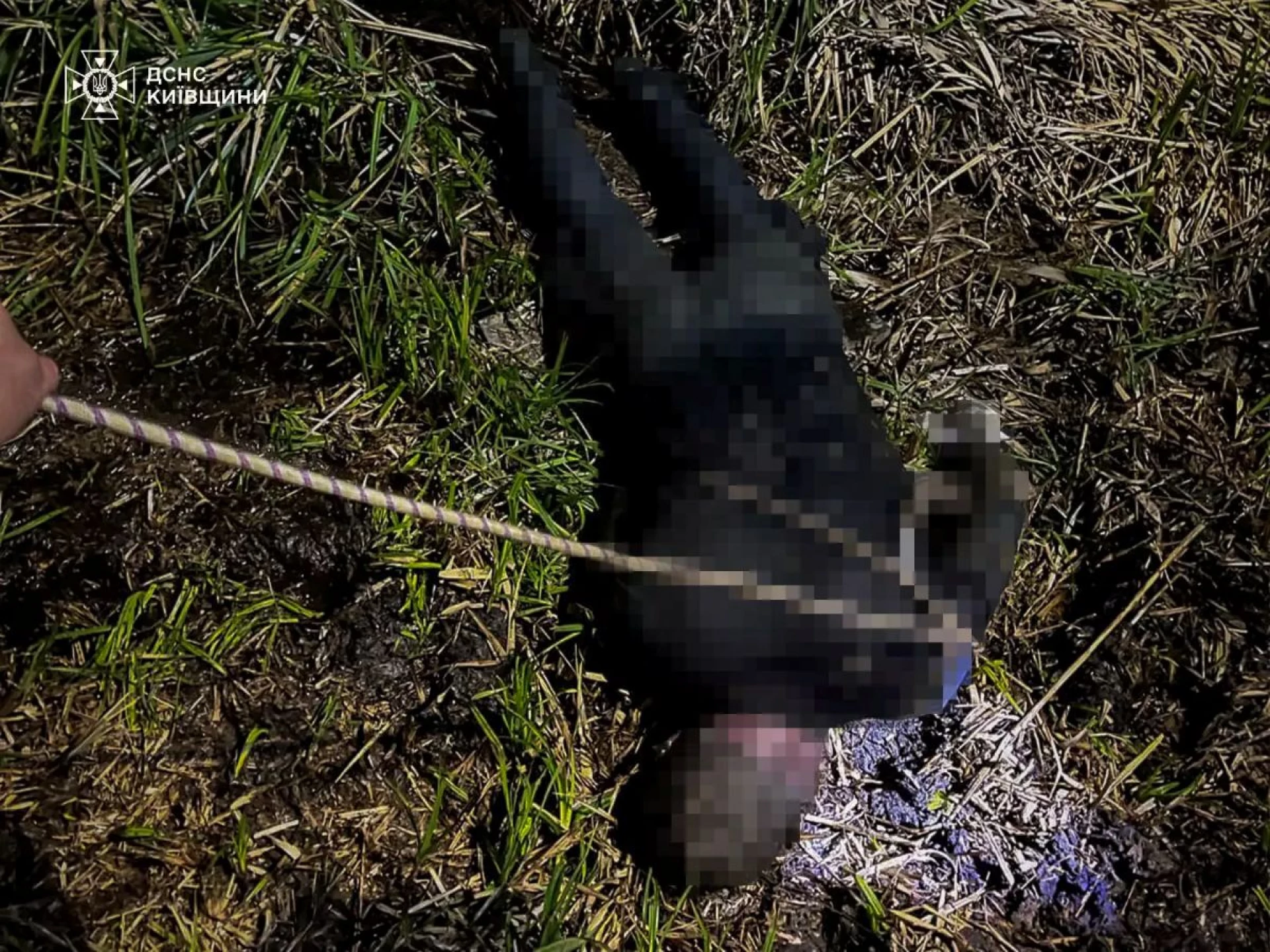 На Київщині в озері виявили тіло молодого чоловіка