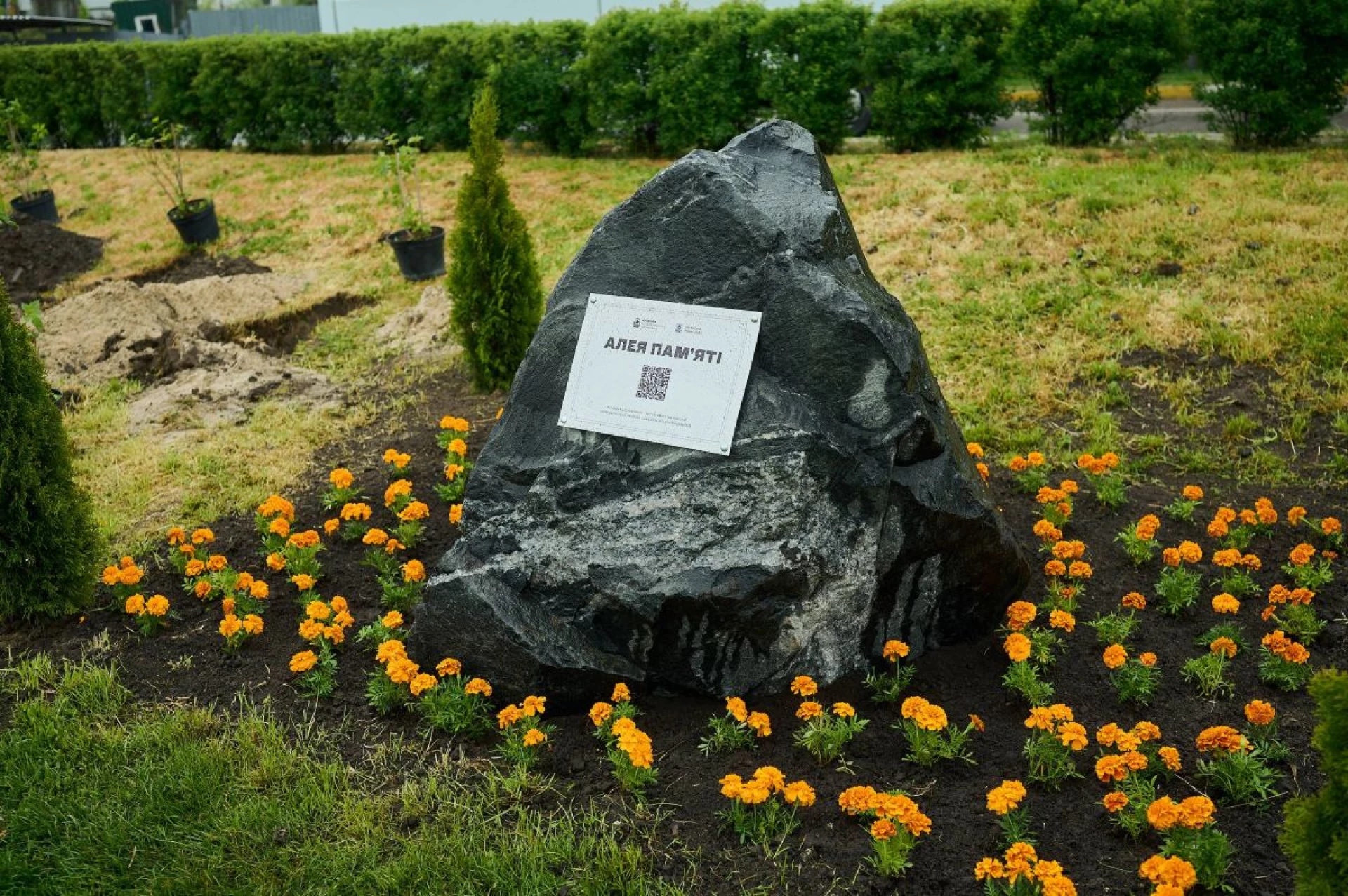В Обухові у День матері висадили алею пам’яті загиблих Захисників