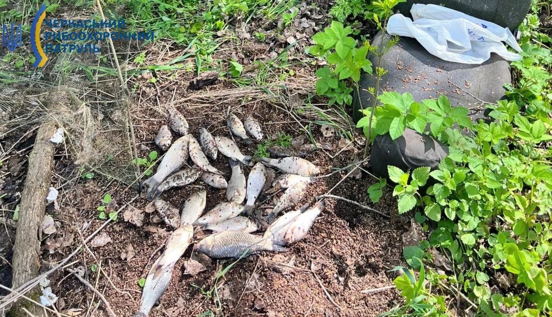 На Черкащині чоловіка затримали за незаконний вилов риби «павуком»
