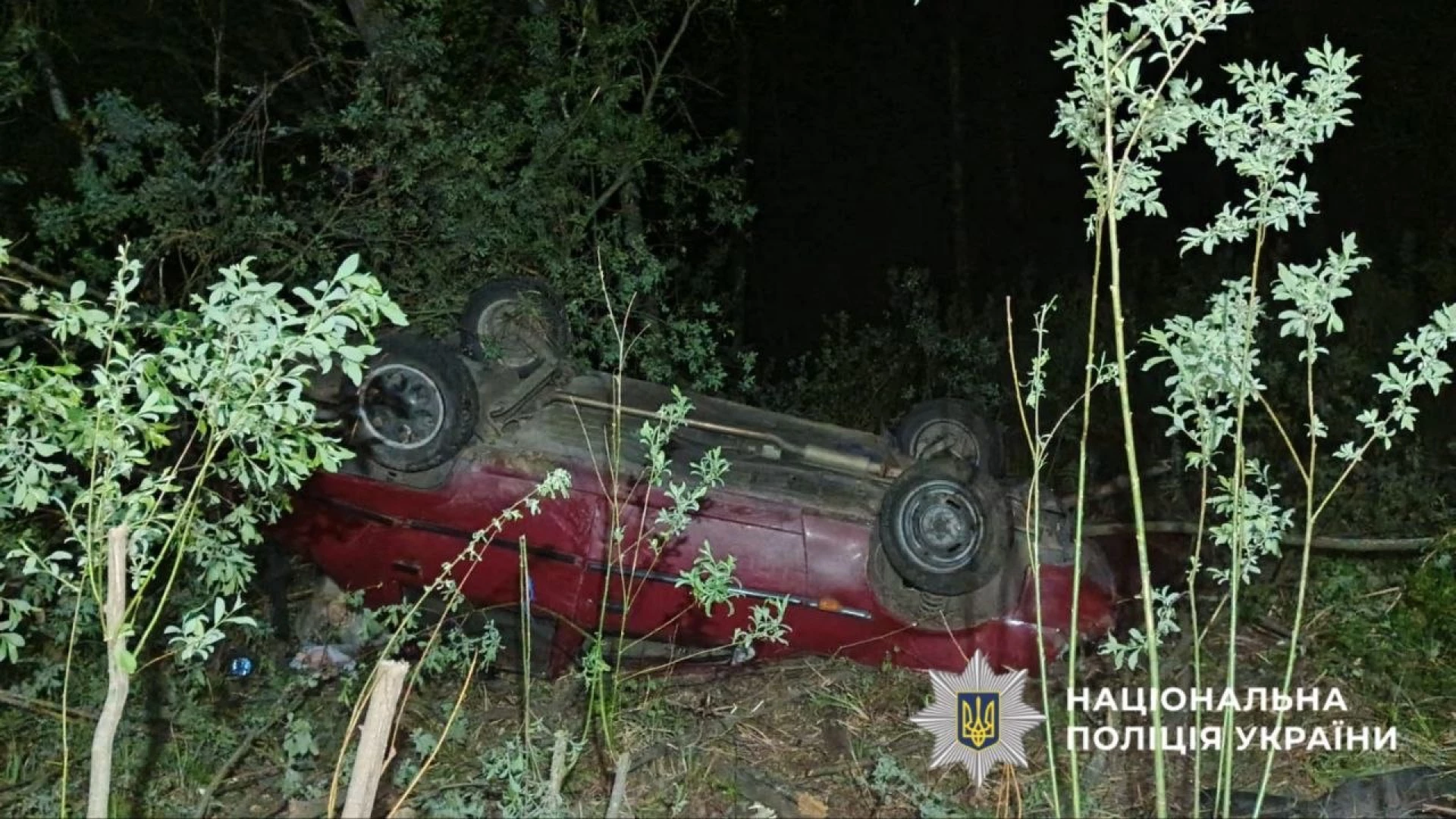 На Вишгородщині п’яний водій злетів у кювет і травмував трьох пасажирок