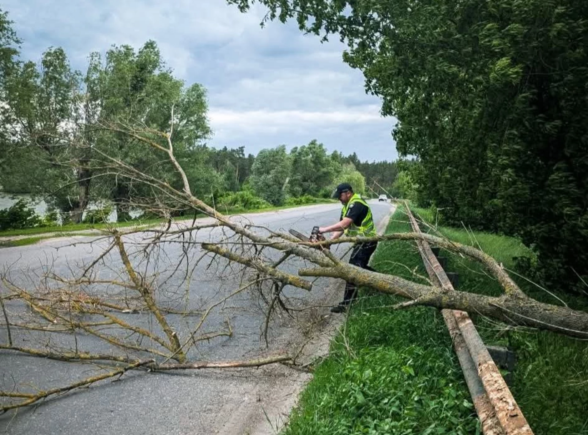 На Черкащині повалене дерево заблокувало рух автомобілів і автобусів