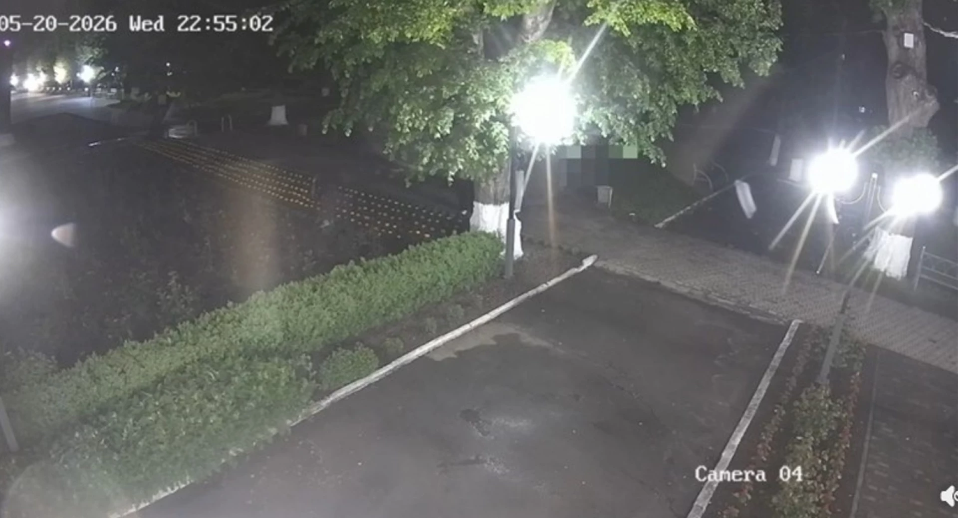 На камеру потрапили підлітки, які вирвали квіти з клуби у Монастирищі