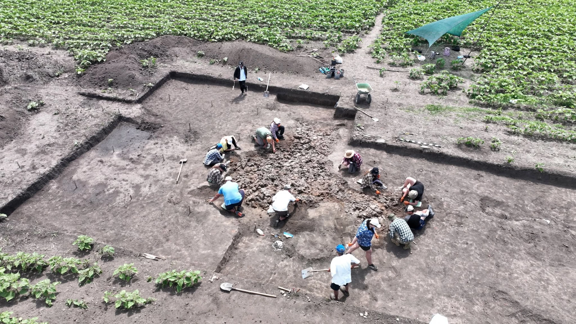 Археологічні розкопки тривають у полі на Черкащині. Фото