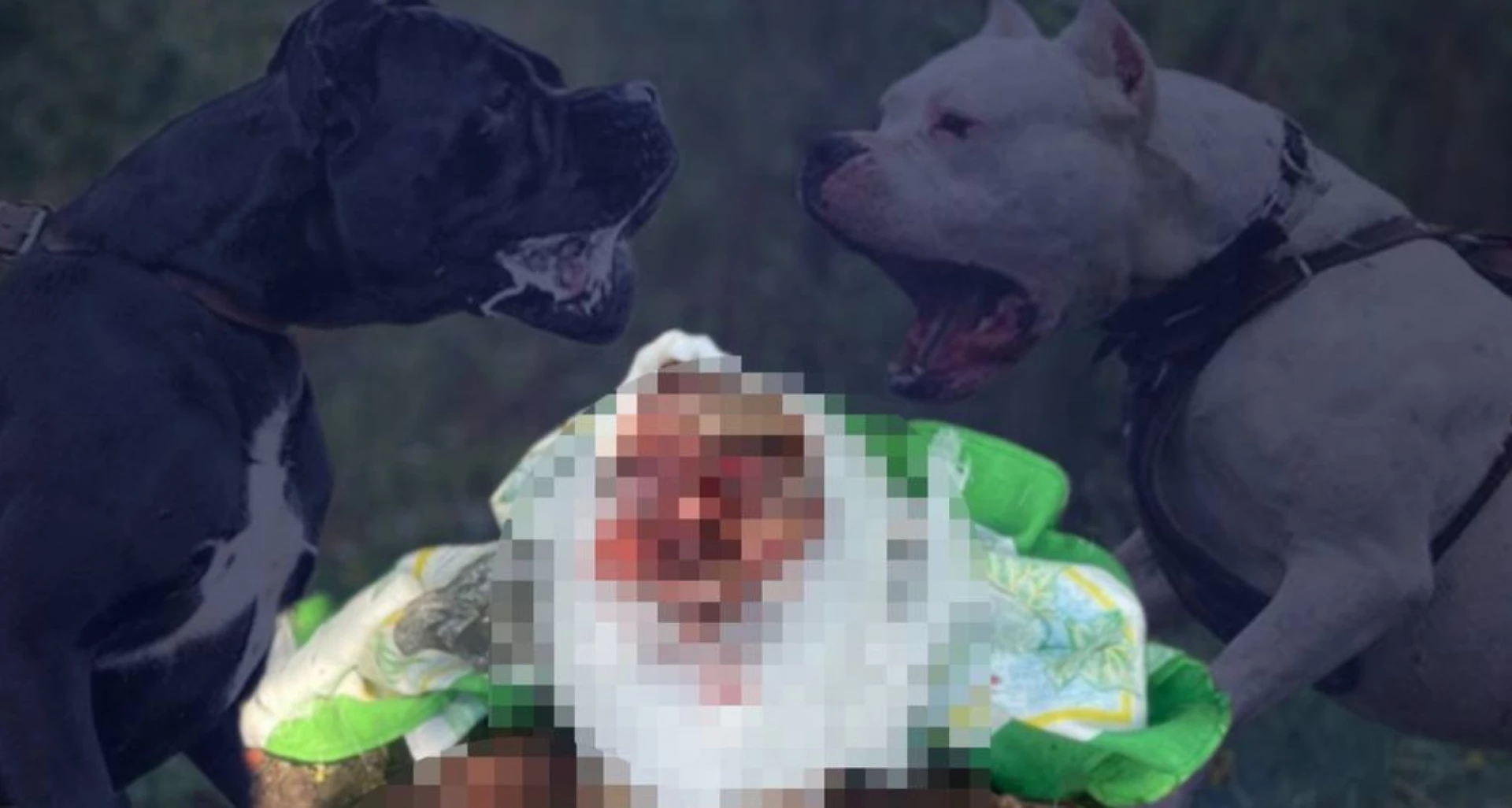 title