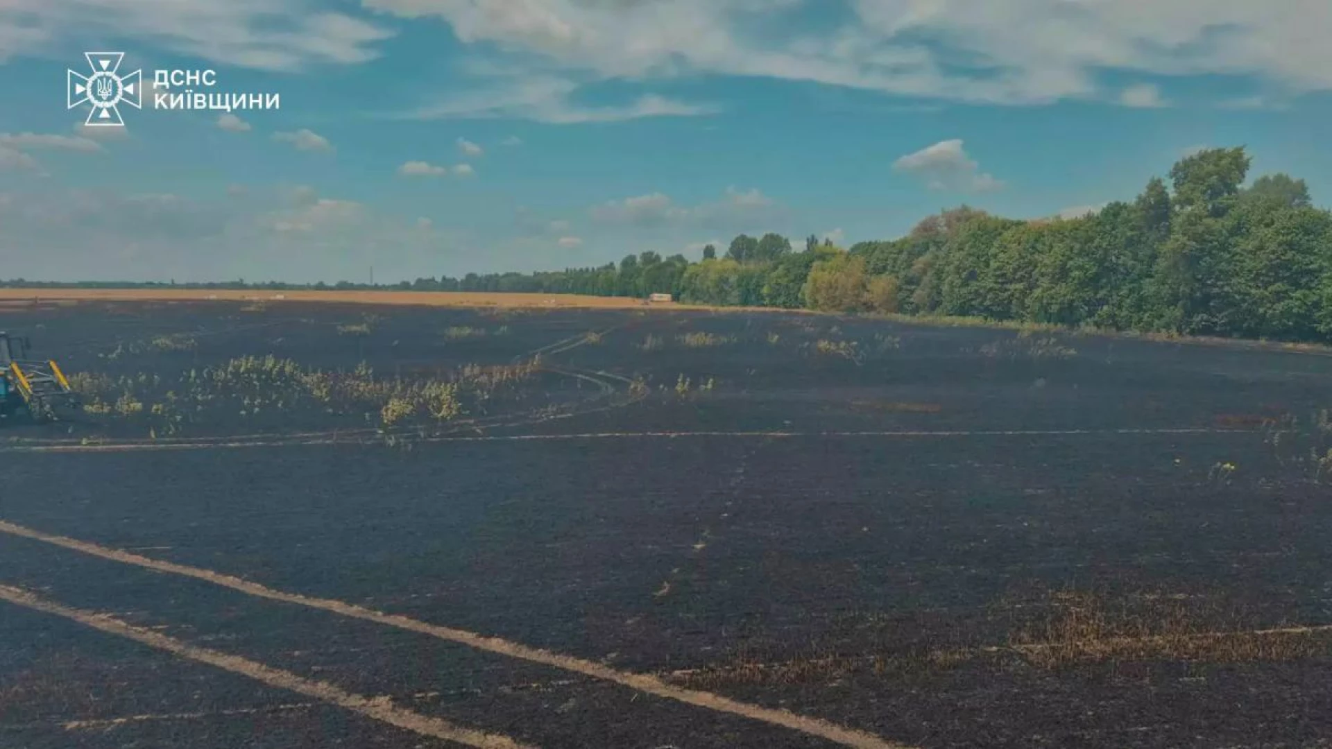 На Київщині горіло поле з пшеницею