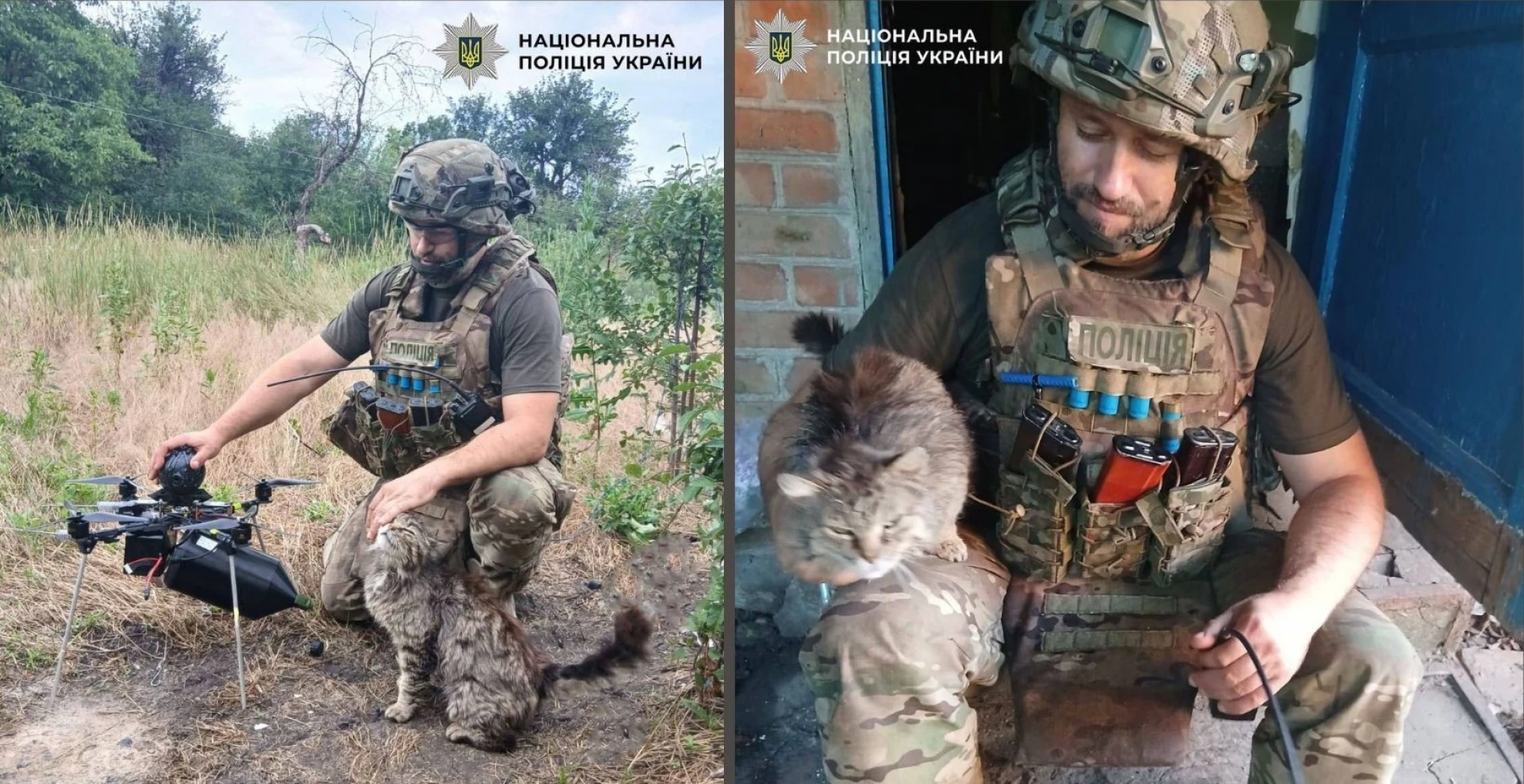 «Жоден дрон не злітає без нього»: у поліції Києва показали бойового кота Остапа