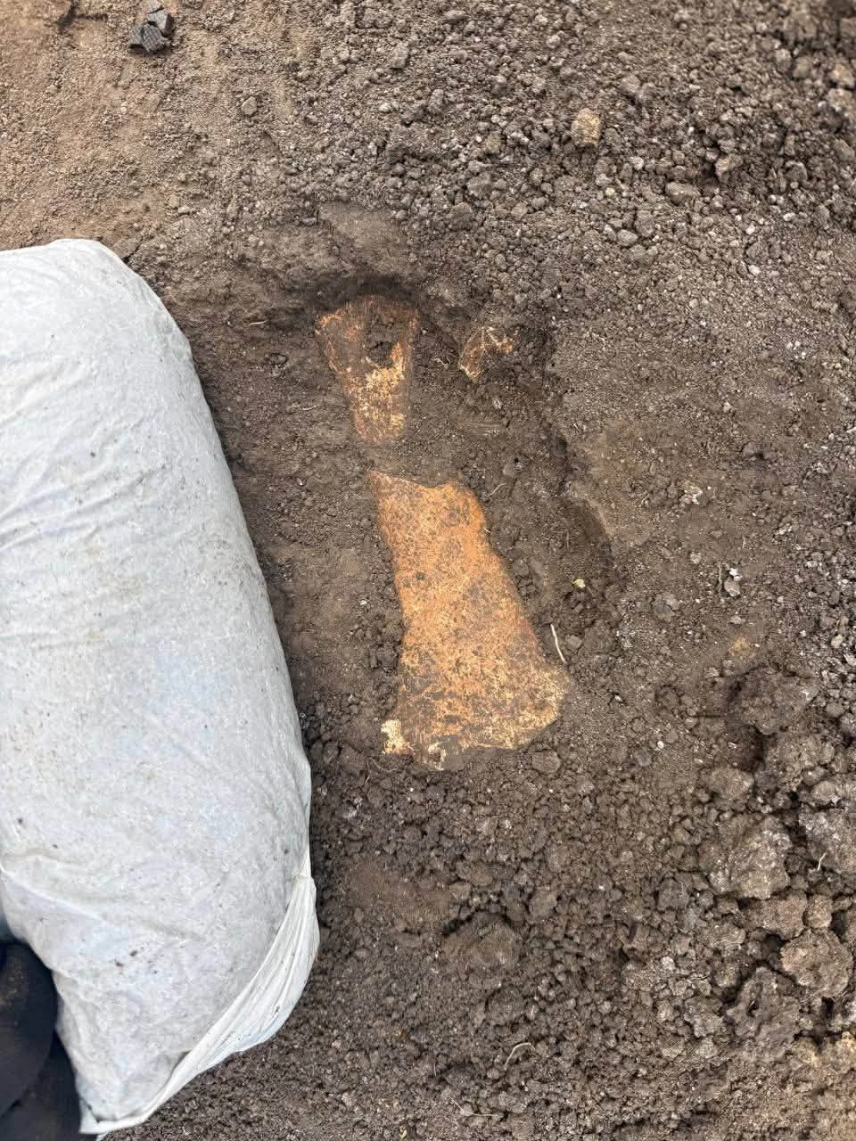 Величезні широкі кістки виявили археологи на Черкащині. Кому вони могли належати? Фото