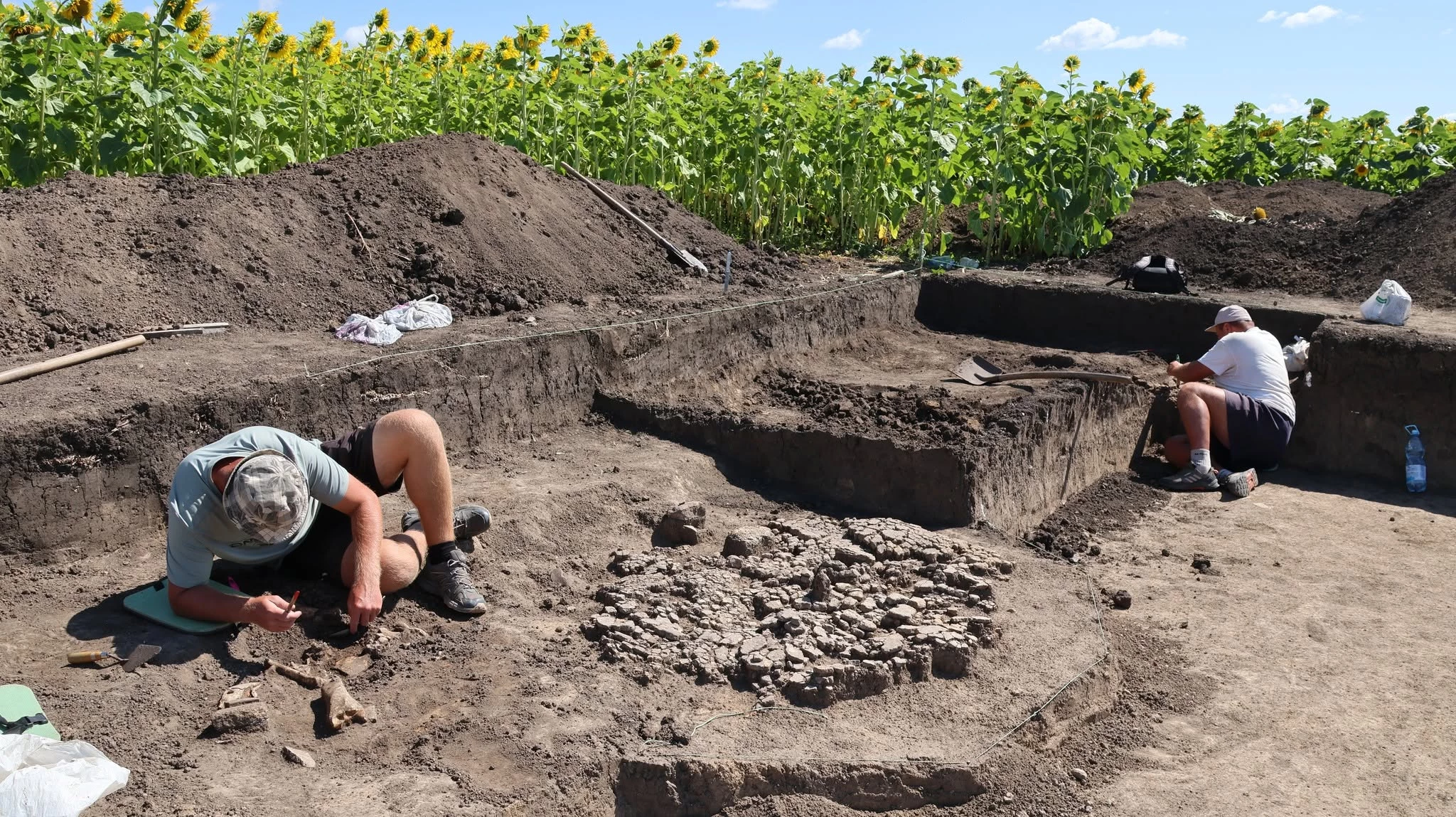 Величезні широкі кістки виявили археологи на Черкащині. Кому вони могли належати? Фото