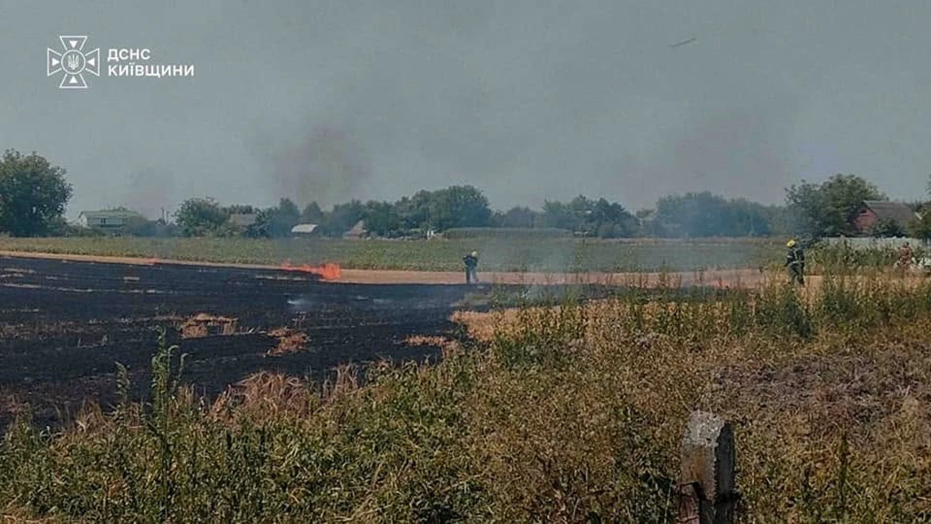 Рятувальники на Київщині ліквідували займання стерні, на місці виявили загиблого