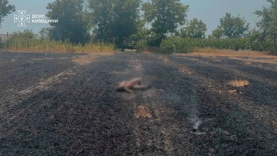 Рятувальники на Київщині ліквідували займання стерні, на місці виявили загиблого