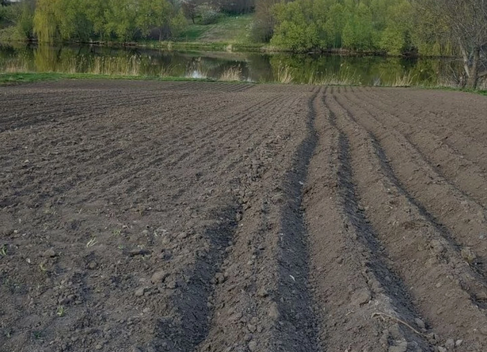 Понад 968 мільйонів гривень земельного податку сплатили в Черкаській області