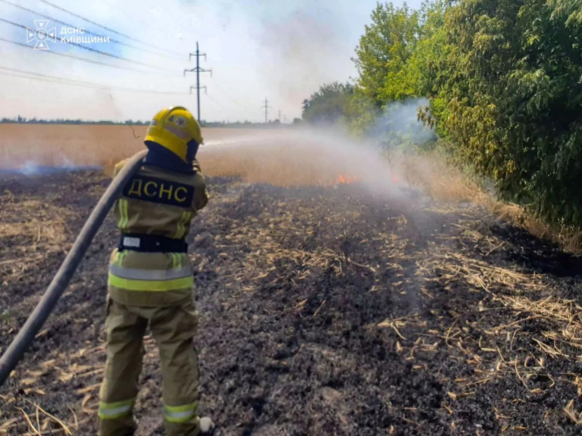 У Білій Церкві горіло поле з пшеницею