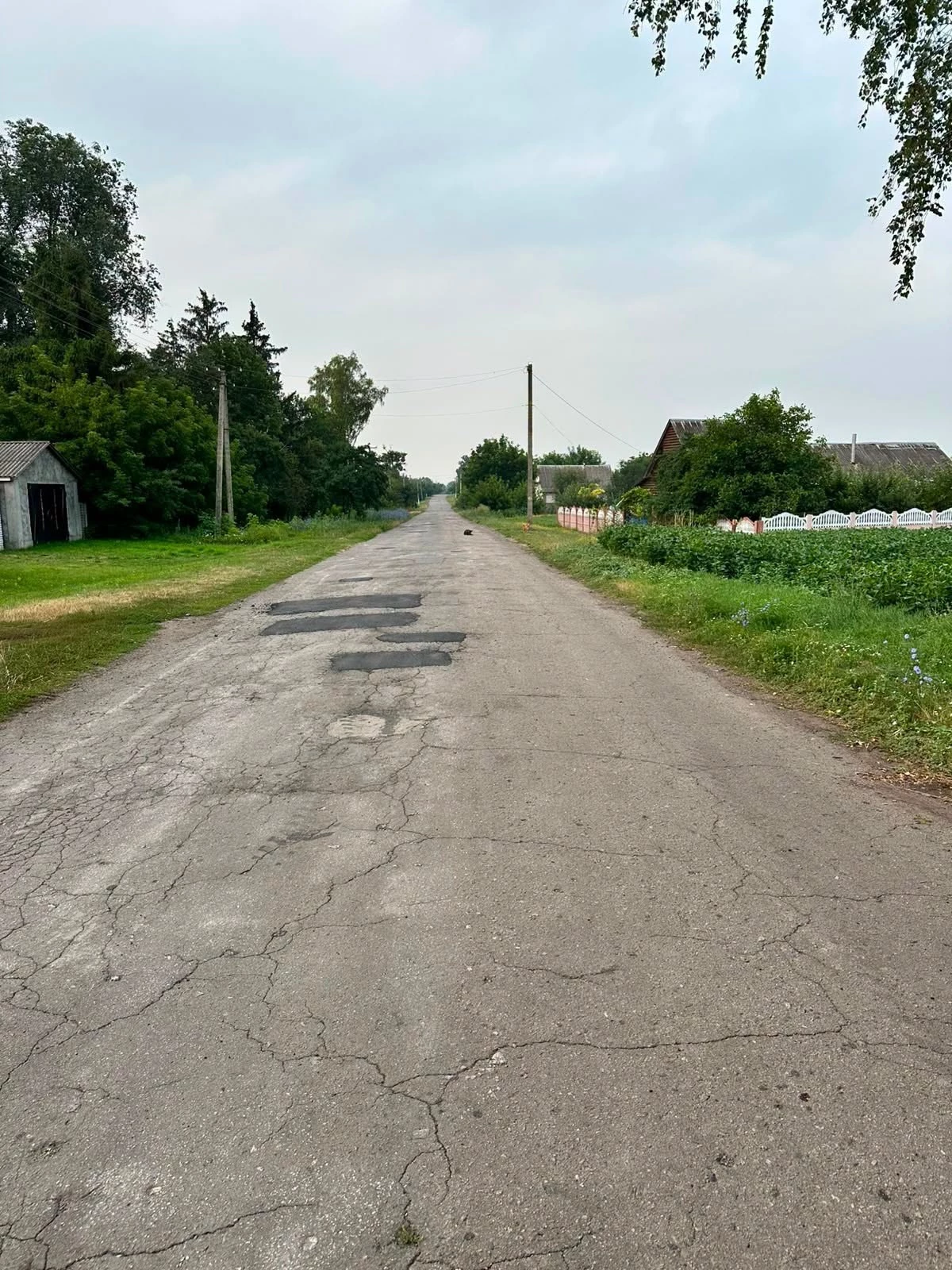 У селах на Черкащині підприємці допомогли поремонтувати дороги. Фото