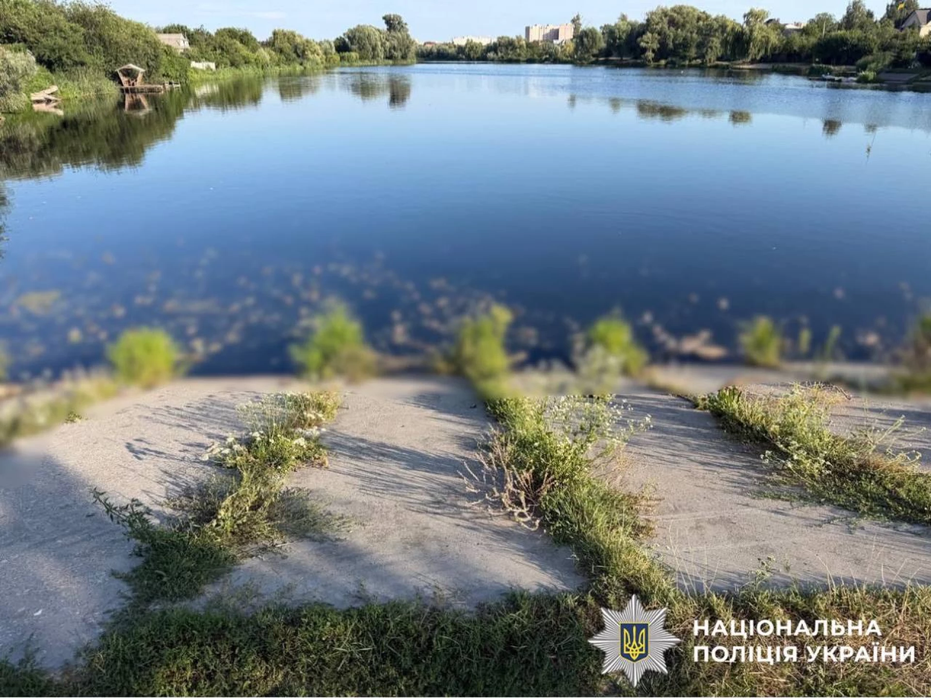 На Київщині поліція розслідує забруднення водойми та загибель риби