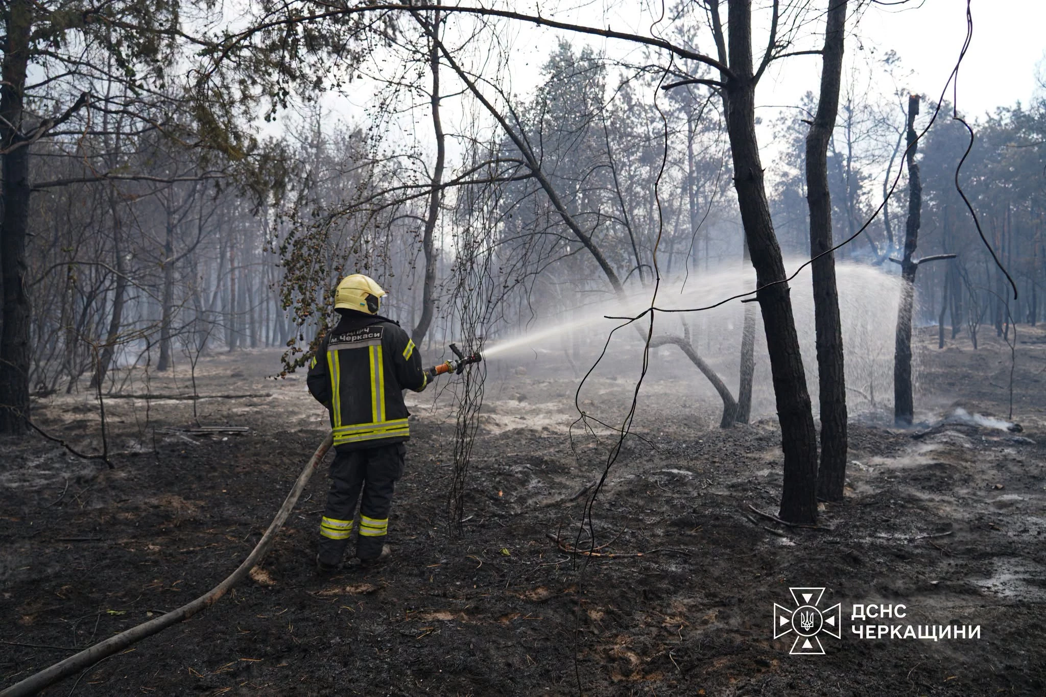 Лісову пожежу локалізували на 122 га у Черкаській області. Відео