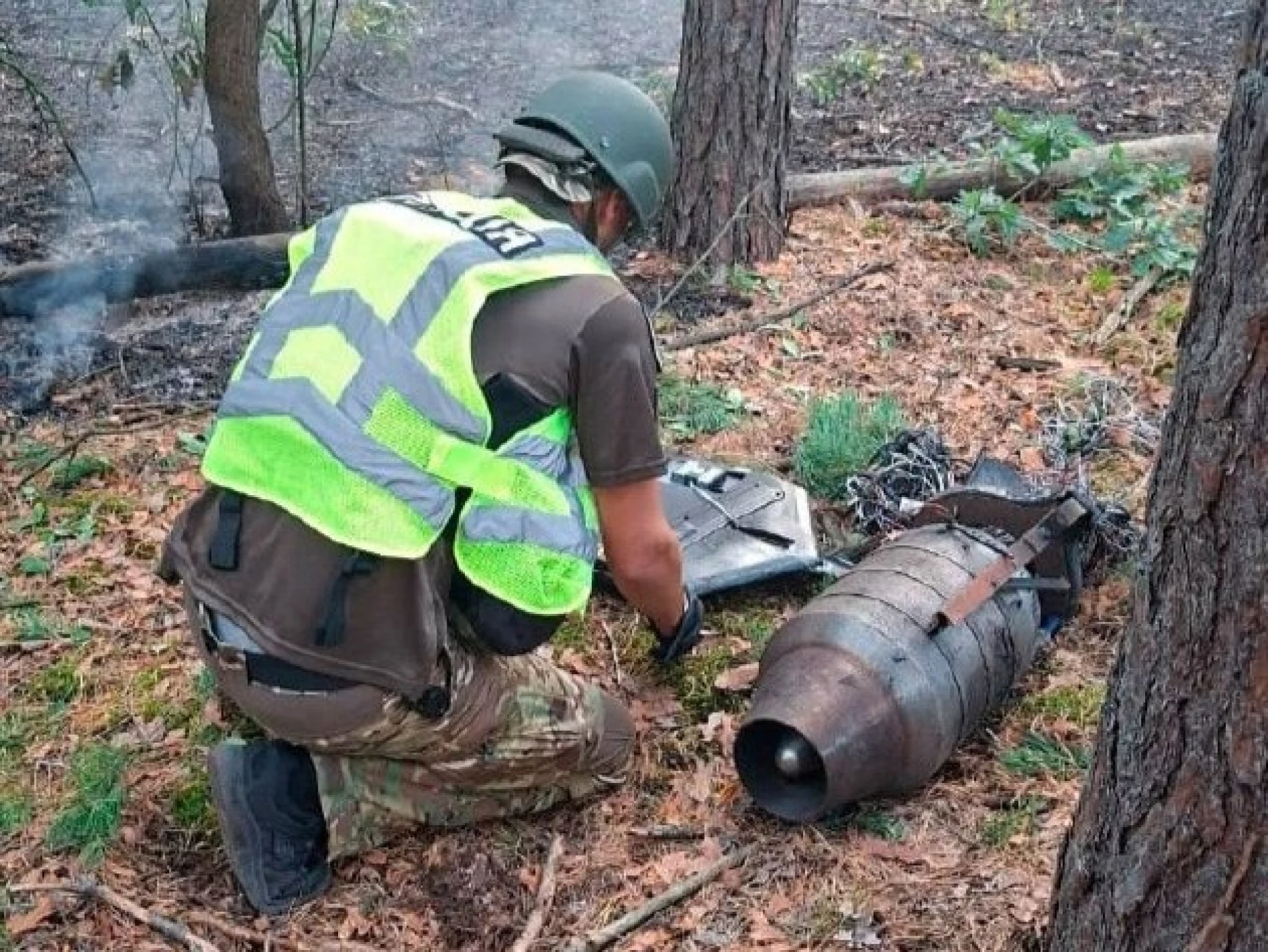 У Києві уламки збитого БпЛА спричинили займання у лісопарковій зоні