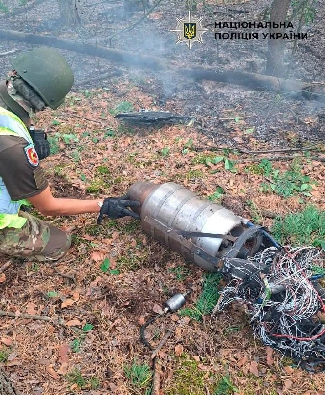 У Києві уламки збитого БпЛА спричинили займання у лісопарковій зоні