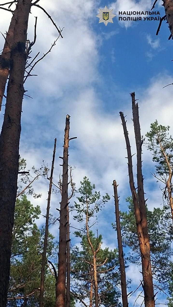 У Києві уламки збитого БпЛА спричинили займання у лісопарковій зоні