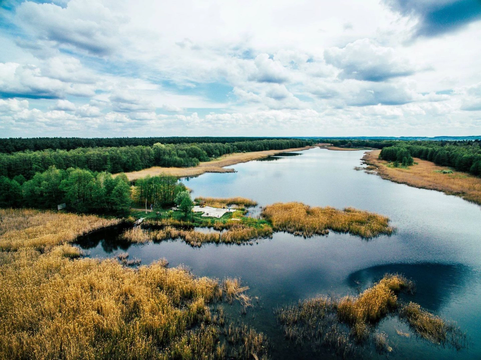 Озеро Шапарня в Пущі-Водиці: прихована перлина київського лісу