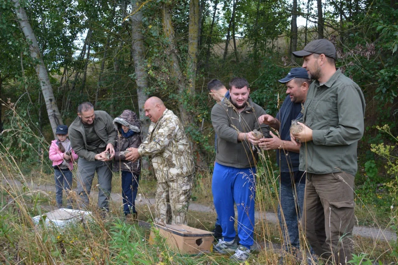 На Обухівщині випустили у природу майже 100 фазанів