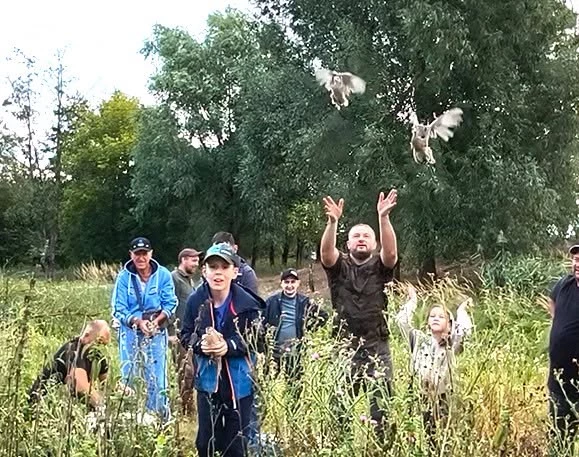 На Обухівщині випустили у природу майже 100 фазанів