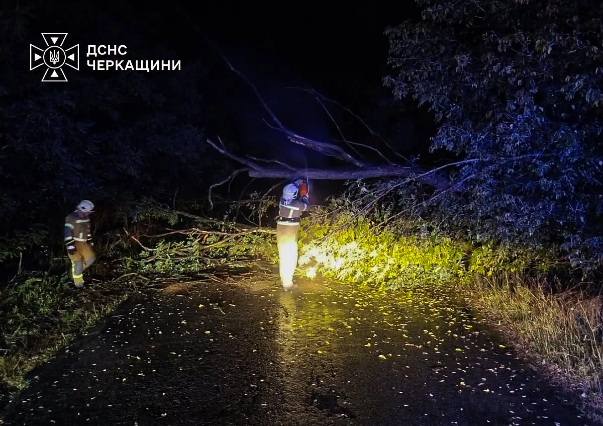Негода повалила дерева на дороги у Черкаській області