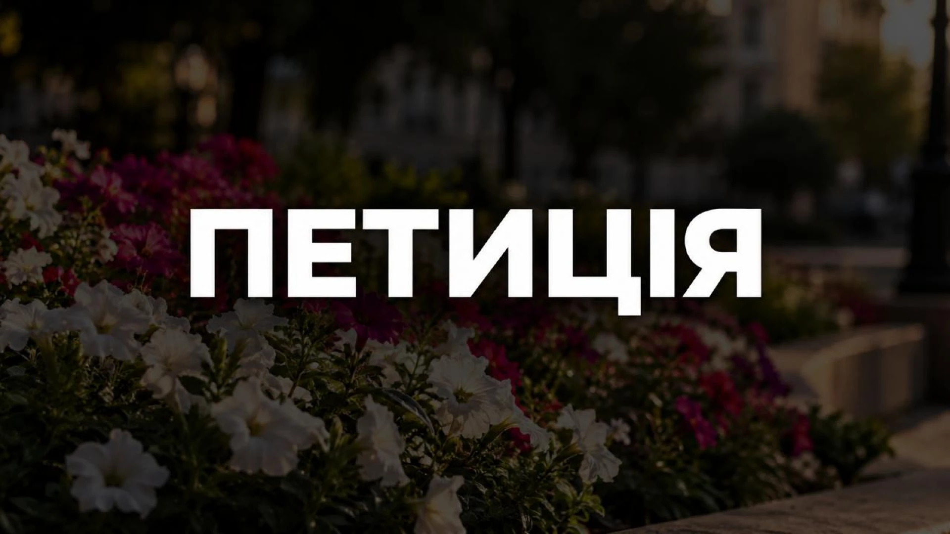 У Черкасах просять не встановлювати кіоск на клумбі біля перехрестя Смілянської та Вернигори
