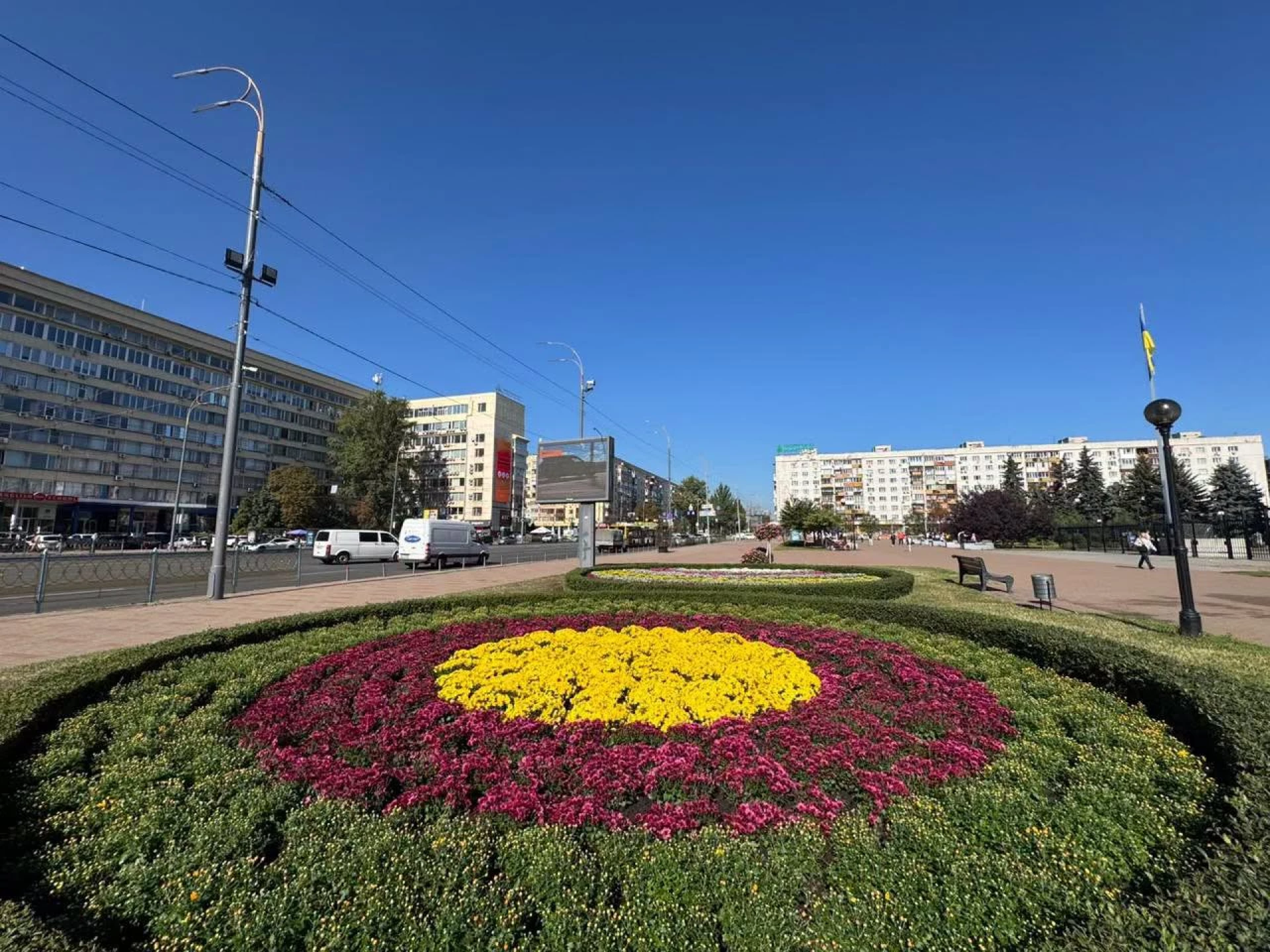Понад 10 тисяч хризантем прикрасять Київ цієї осені