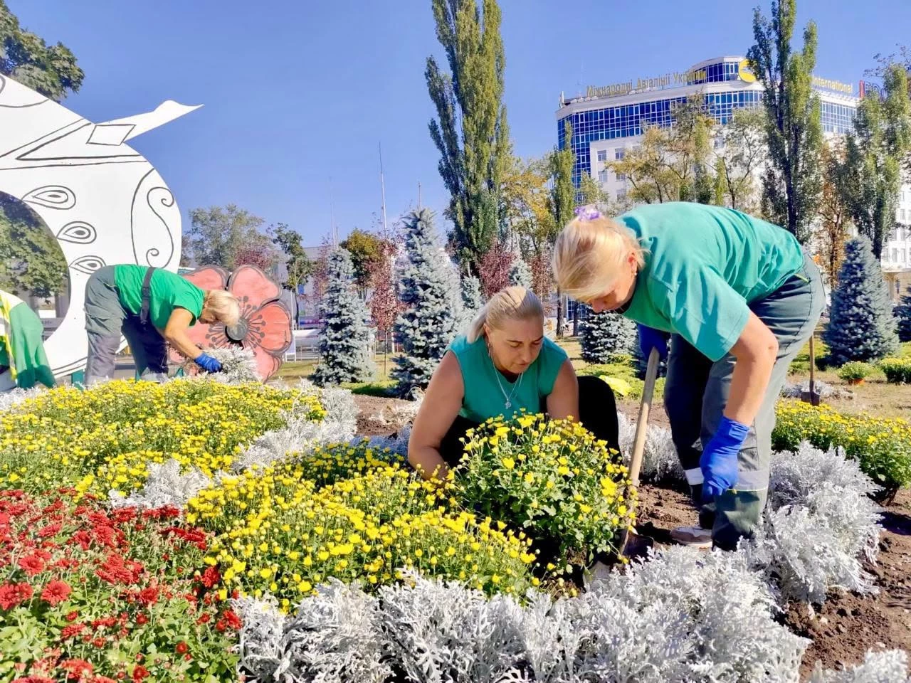 Понад 10 тисяч хризантем прикрасять Київ цієї осені