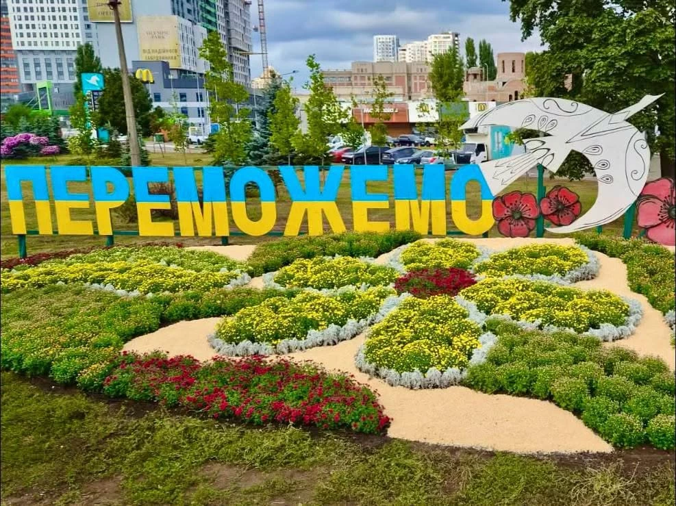 Понад 10 тисяч хризантем прикрасять Київ цієї осені