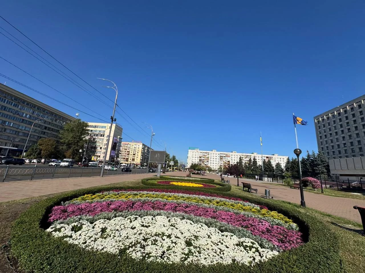 Понад 10 тисяч хризантем прикрасять Київ цієї осені