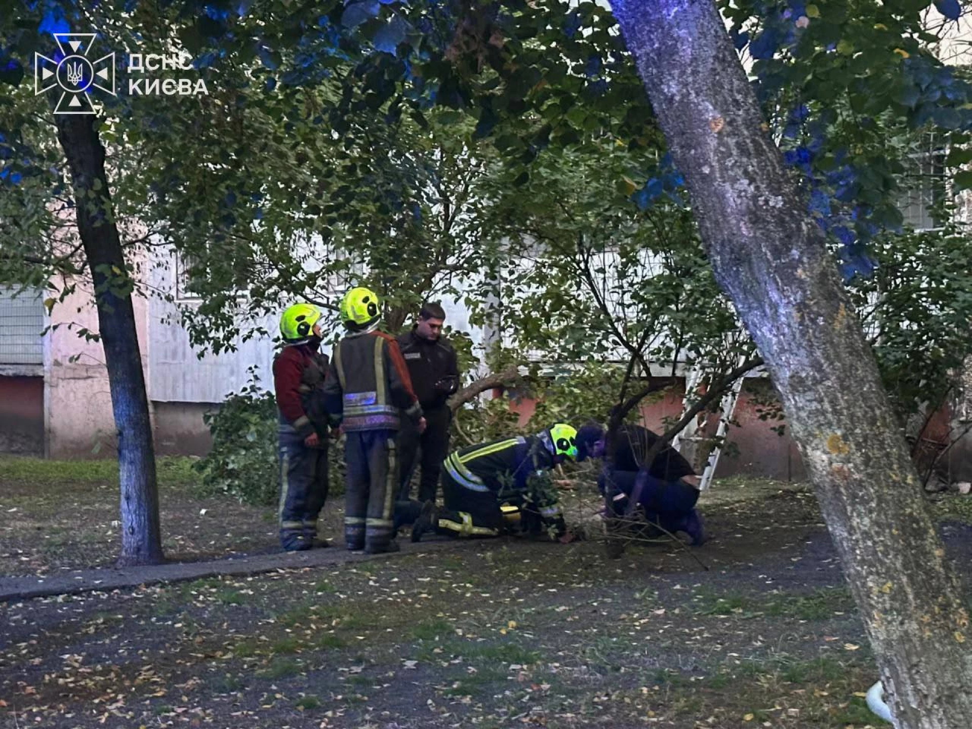 У Києві під час пожежі в багатоповерхівці врятували жінку, кота та собаку
