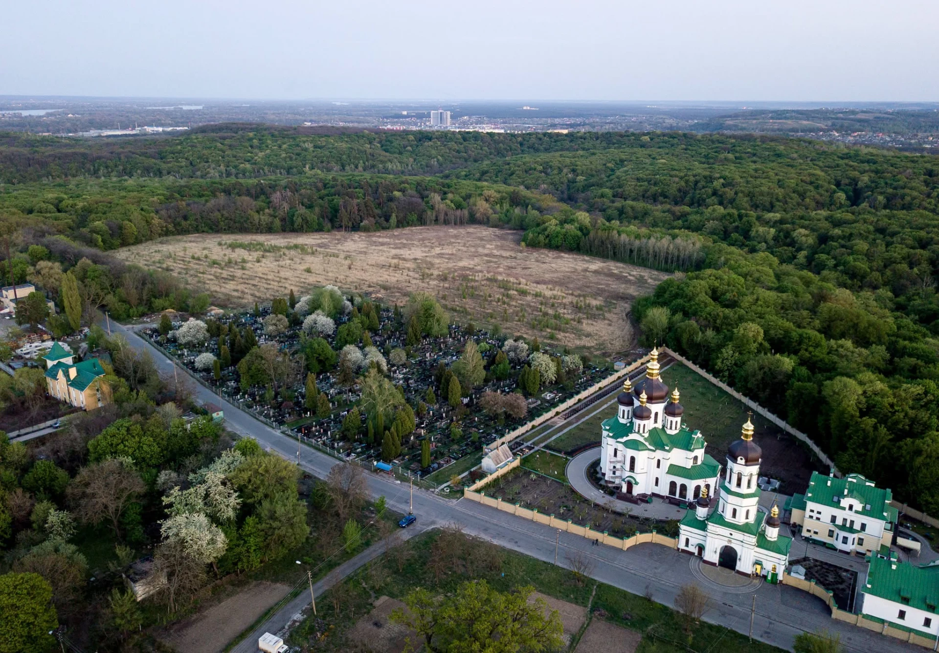 Сосновий гай, старі фундаменти й історія архієпископа: чим цікаве урочище Болгарське в Києві