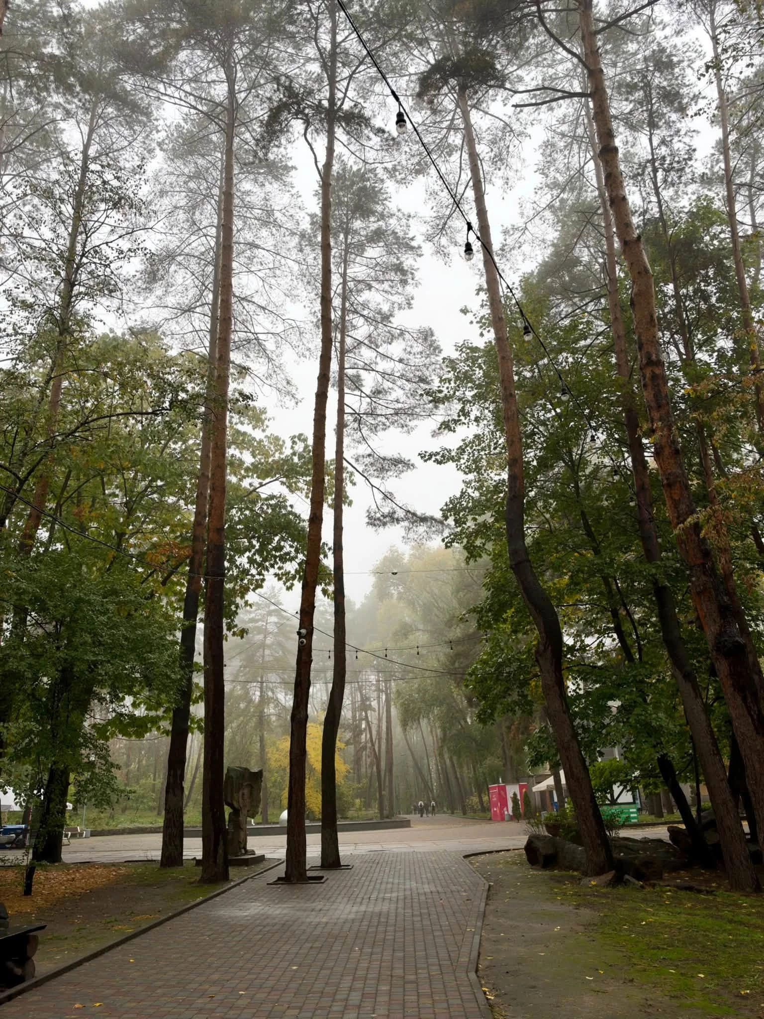 Опублікували атмосферні фото осені в Черкасах. Дивіться