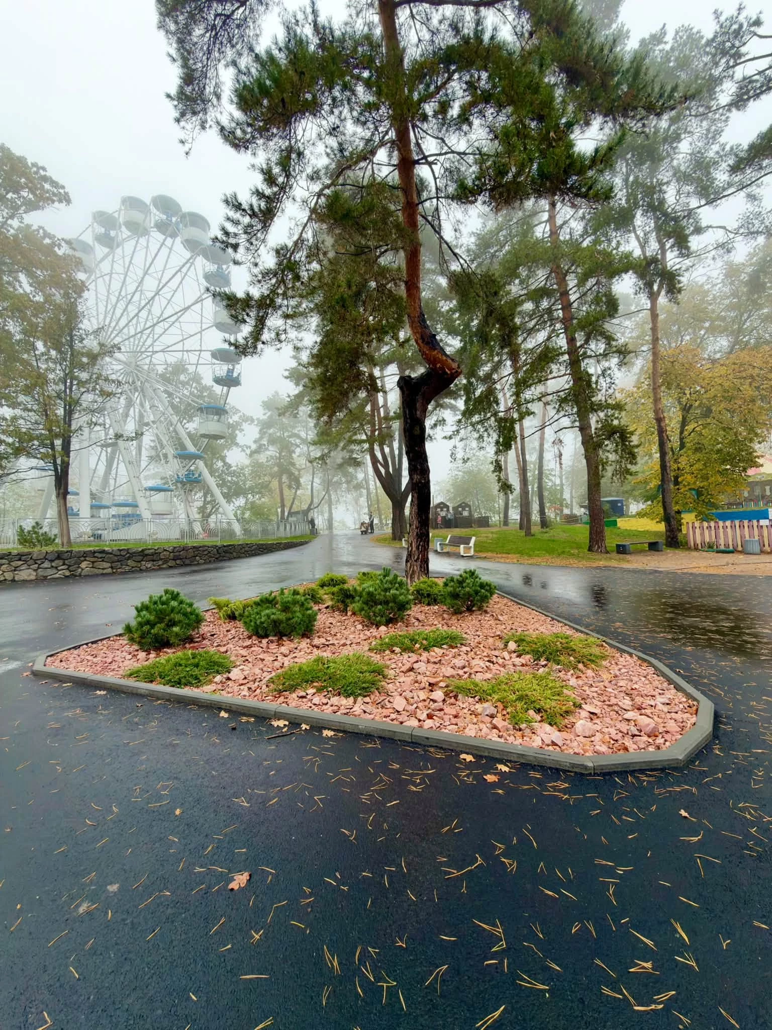 Опублікували атмосферні фото осені в Черкасах. Дивіться