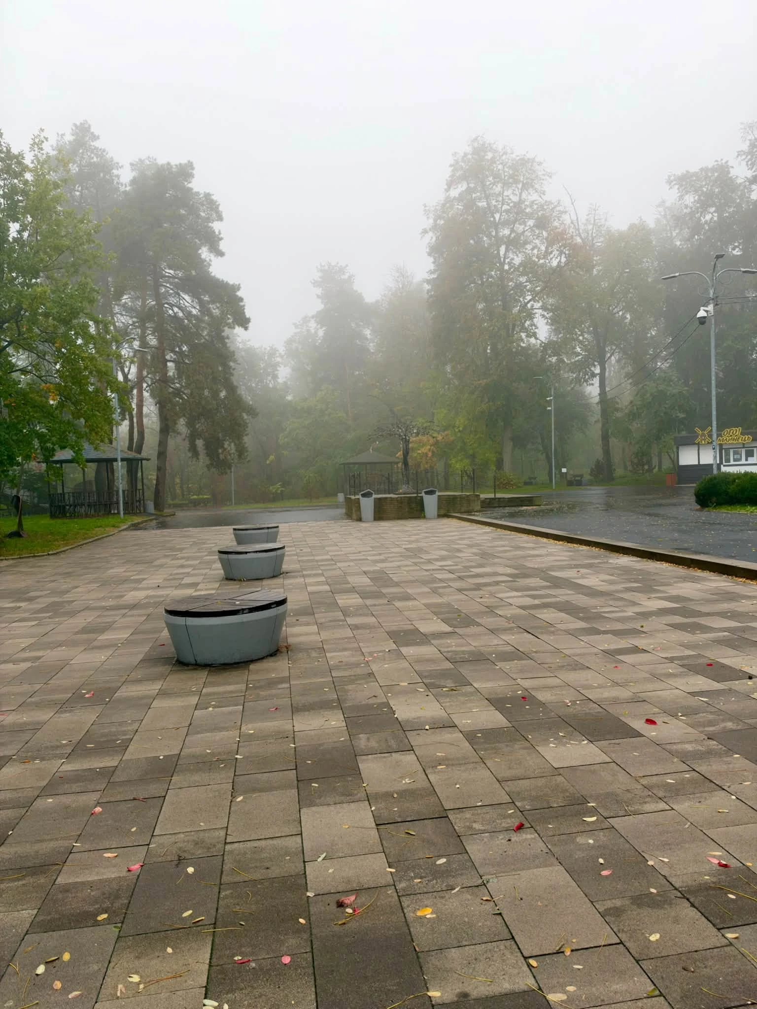 Опублікували атмосферні фото осені в Черкасах. Дивіться