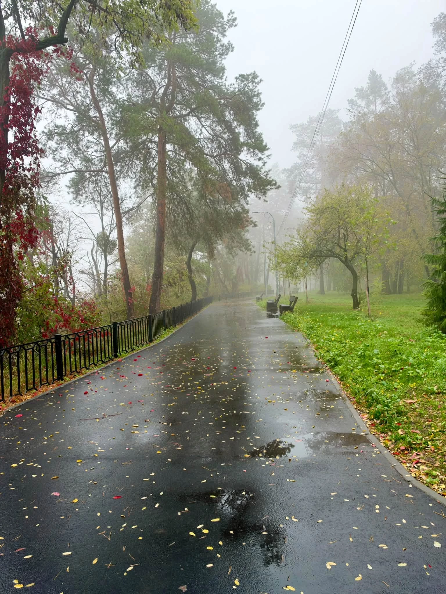 Опублікували атмосферні фото осені в Черкасах. Дивіться