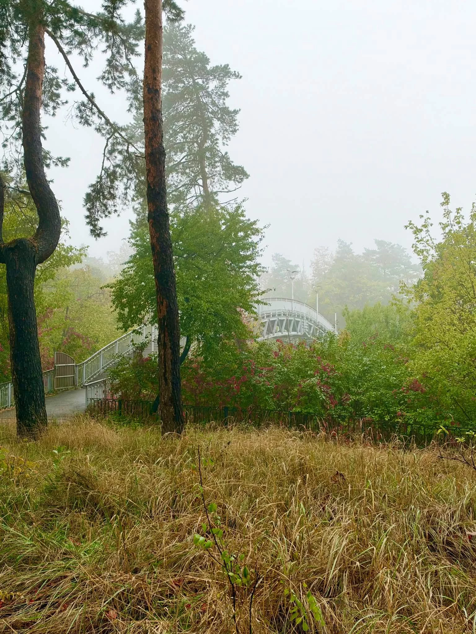 Опублікували атмосферні фото осені в Черкасах. Дивіться