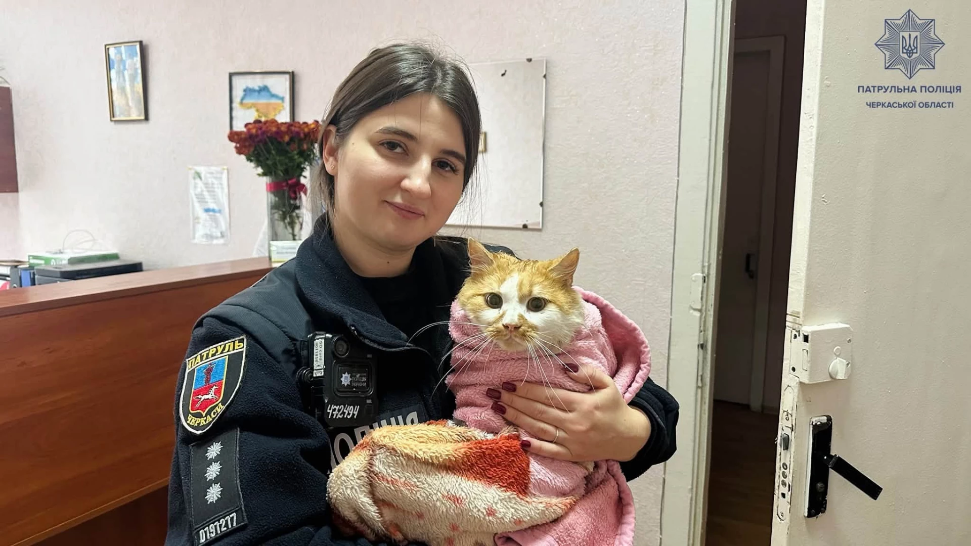 У Черкасах врятували сліпого кота, на якого напали собаки