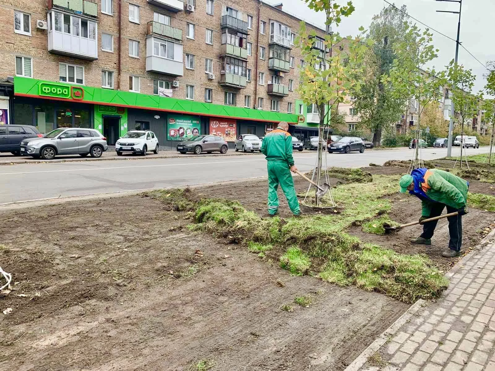 У Києві створюють моносад із майже 3000 декоративних злаків