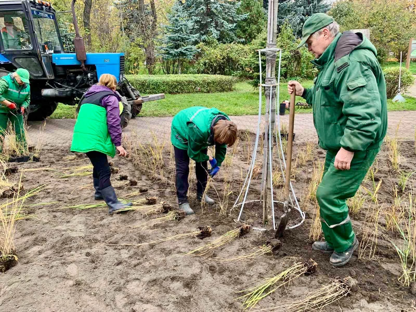 У Києві створюють моносад із майже 3000 декоративних злаків