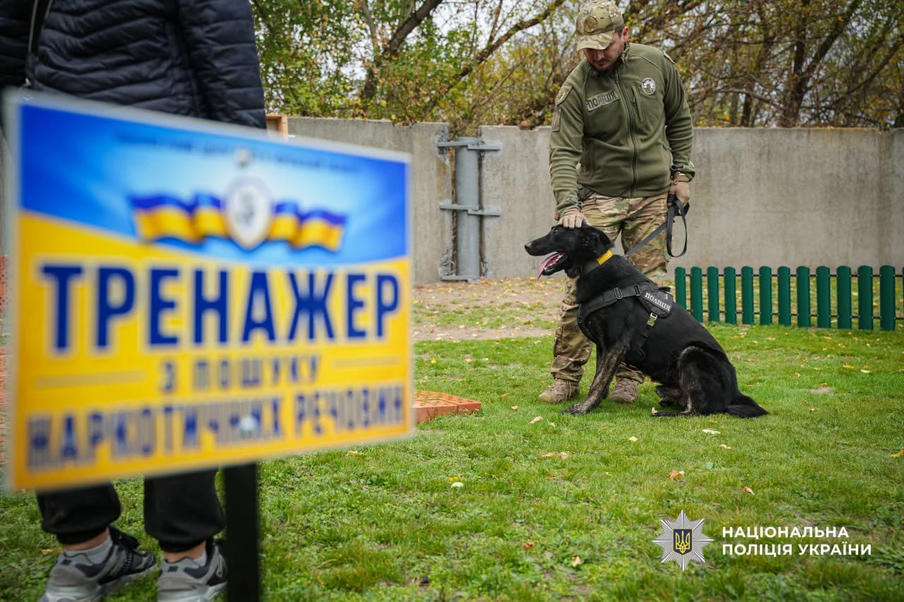 Кінологи Черкащини показали дітям, як працюють службові собаки
