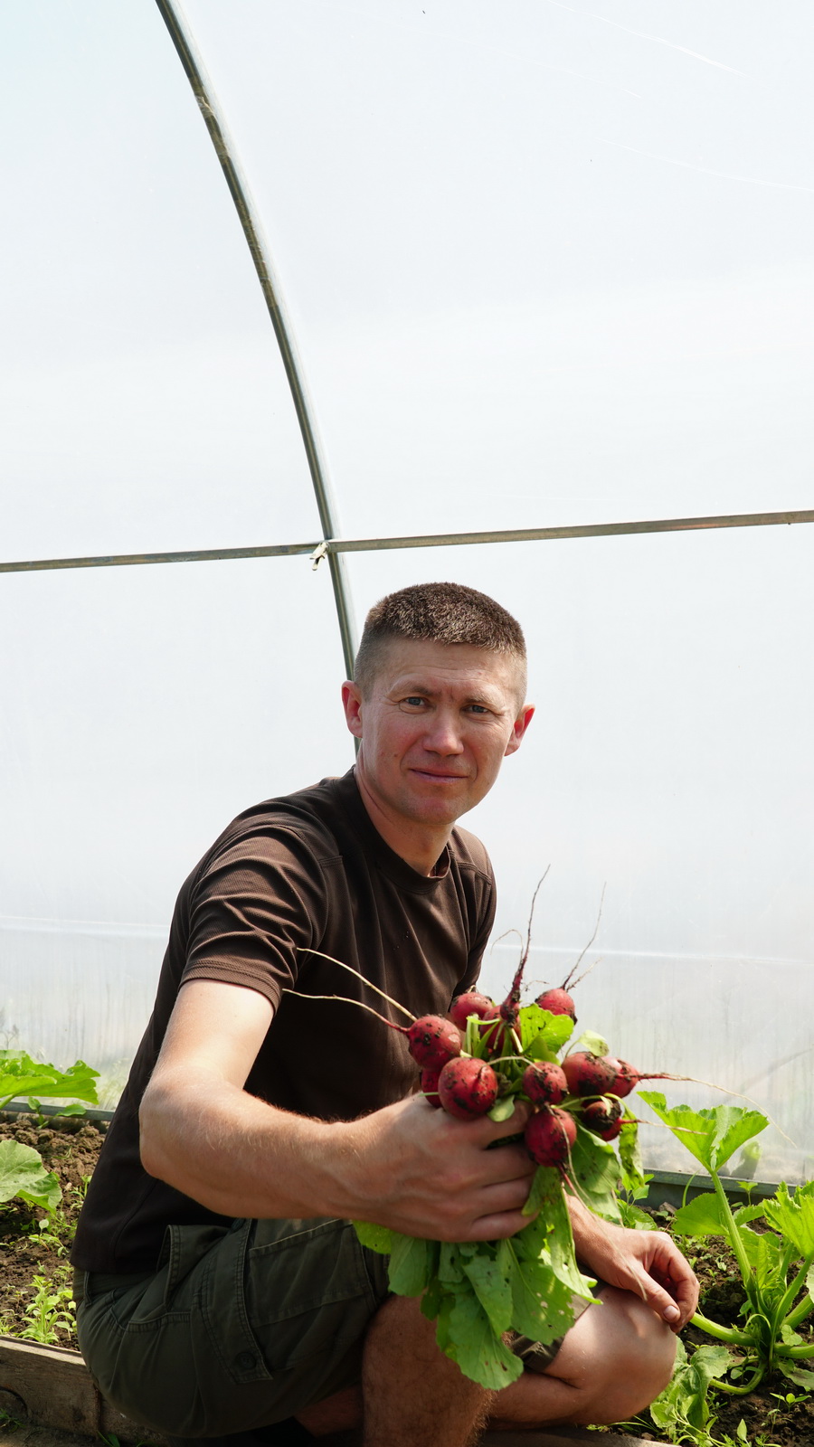 Ветеран з Ладижина перетворив хобі у бізнес і розвиває власне тепличне господарство