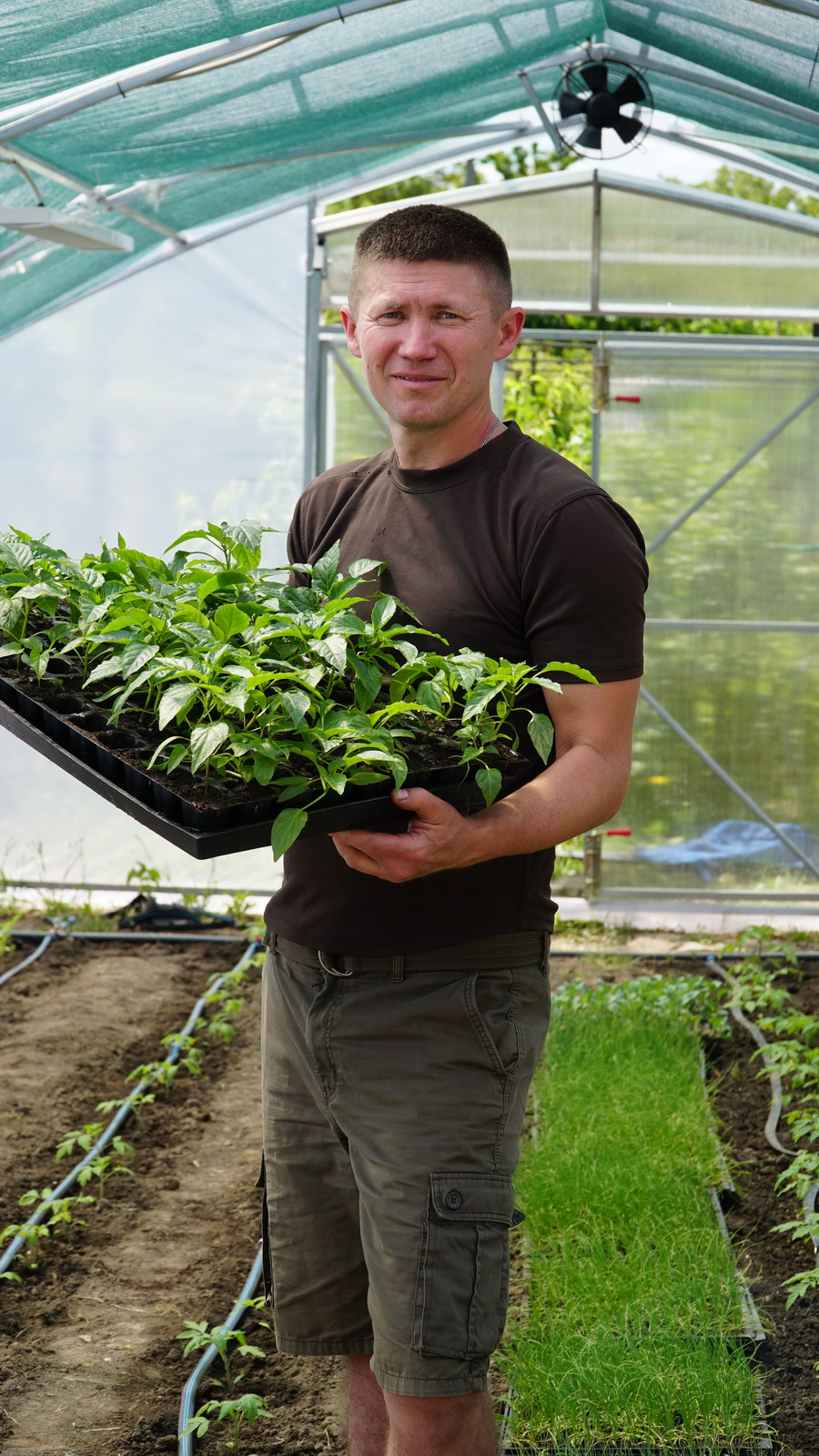 Ветеран з Ладижина перетворив хобі у бізнес і розвиває власне тепличне господарство - фото 6
