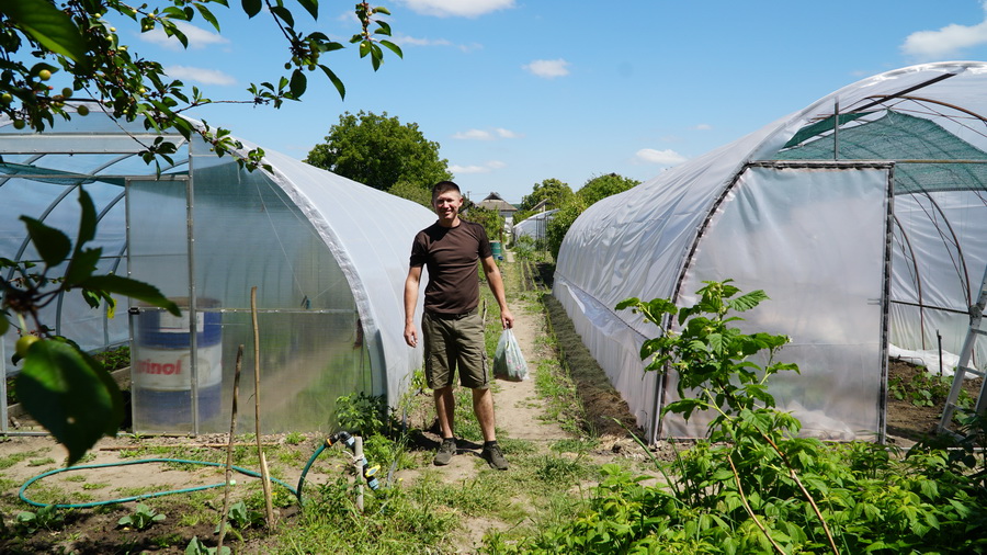 Ветеран з Ладижина перетворив хобі у бізнес і розвиває власне тепличне господарство - фото 4